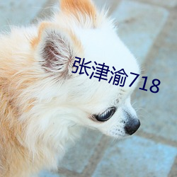 张津渝718