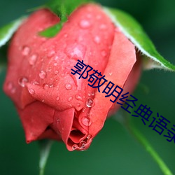 郭敬明经典(diǎn)语录