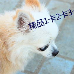 精品1卡2卡3卡4卡免费高清