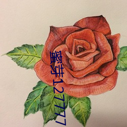 蜜芽127777·COON （耗资）