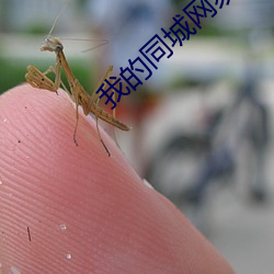 我(wǒ)的同城网易约会