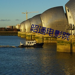 昭通电(電)影(影)院