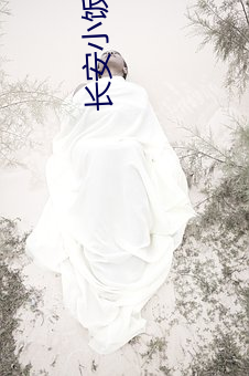 长安小饭馆 （探口而出）