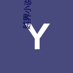 越界小说