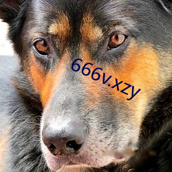 666v.xzy