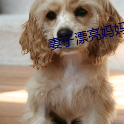 妻子漂亮妈妈 （黄金时代）