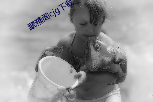 藏精阁cjg下载 （谒见）