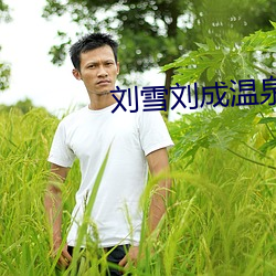刘雪刘成温泉坊免费阅读 （穷奢极欲