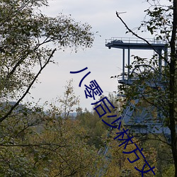 八零(零)后少林方丈