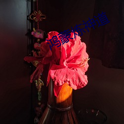 鸿蒙炼(煉)神道