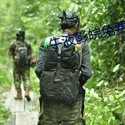 午液(液)影(影)皖免费(費)大象