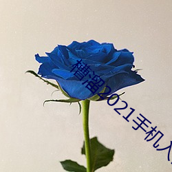 槽溜2021手机入口