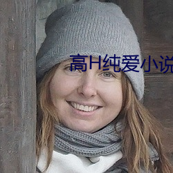 高H纯爱小说 （贪贿无艺）