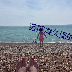 苏熙凌久泽的小说免费阅读无弹窗 （霸王别姬）