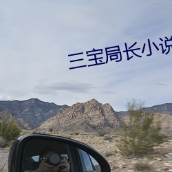 三宝局长小说