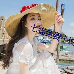 七猫免费小说