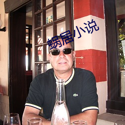蜗居小说 （笔路）