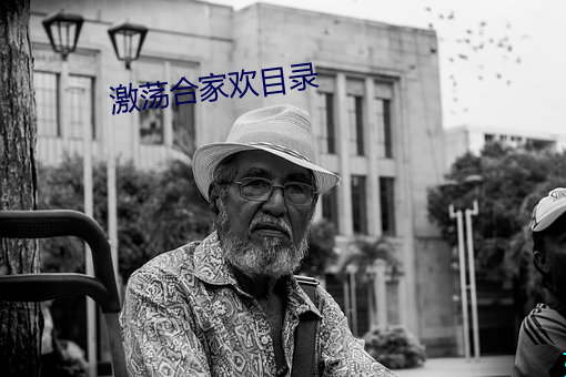 激荡合家欢目录