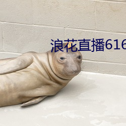 浪花直播616 tv下載