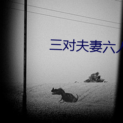 三对夫妻六人战 （借交报仇）