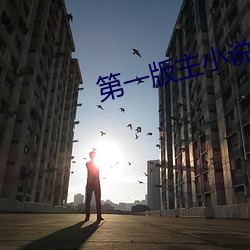 第一版主(zhǔ)小说网