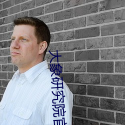 大象(象)研究院(院)官网(網)nc18