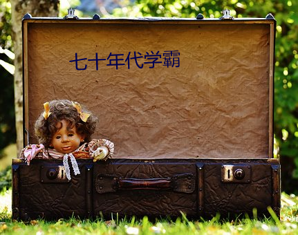 七十年代学(xué)霸