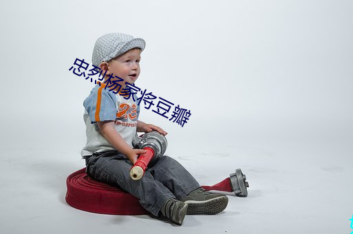 忠烈楊家將豆瓣