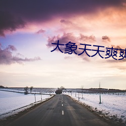大象天天爽爽