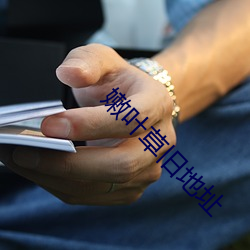 嫩叶草旧地址