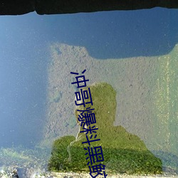 冲哥(哥)爆(爆)料黑鲛(鲛)