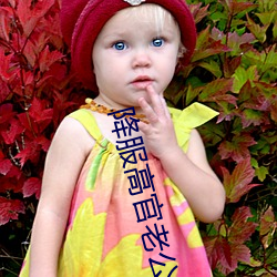 降服(服)高(高)官老公