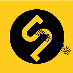 朱茵老公是谁