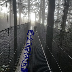 奇幻森林迅(迅)雷(雷)下(下)载