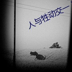 人(人)与牲动(動)交(交)一 XXXBBBB