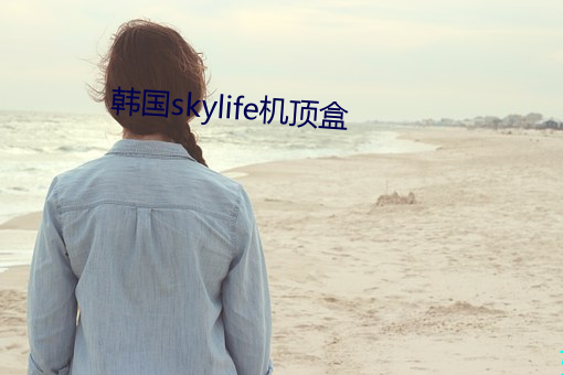 韓國skylife機頂盒