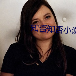 知否知否小说