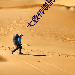 大象传媒影视