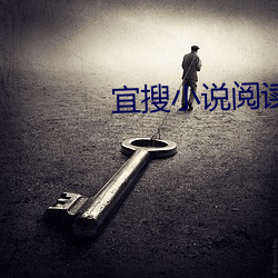 宜搜小说阅读