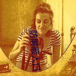 防屏蔽入口