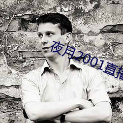 夜月2001直播(bō)app