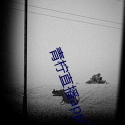 青檸直播app下載官網