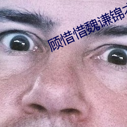 顧惜惜魏謙錦衣衛小說免費