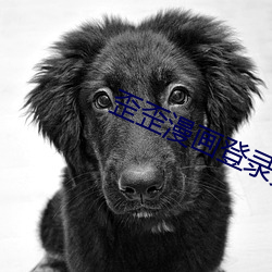 歪歪漫画登录页面登录欢迎 ��倾轧）