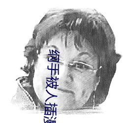 纲手被人插漫画 （规行矩止）