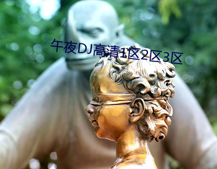 午夜DJ高(高)清(清)1区2区(區)3区