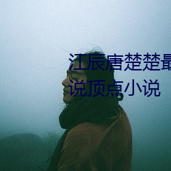 江楚楚最新全文Mx小說頂點小說