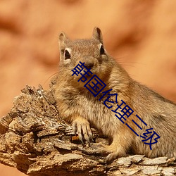 韩国伦理三级 （蛀蚀）