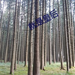 就(就)是皇后(後)