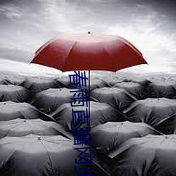 春雨直(zhí)播(bō)网页(yè)版